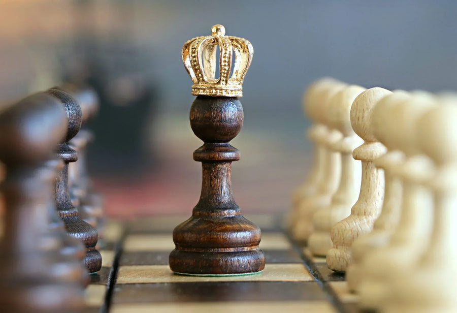 The Queen’s Gambit Season 2: What to Expect